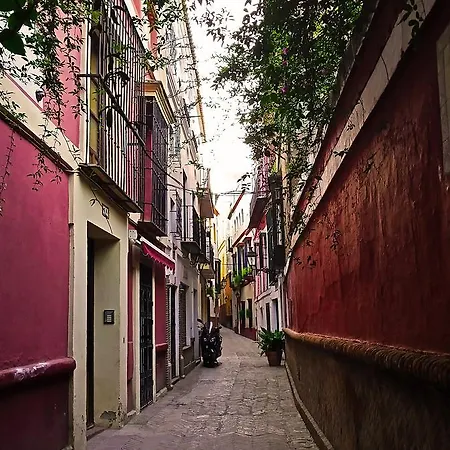 Tourist House Alcazar (adults Only) * 塞维利亚