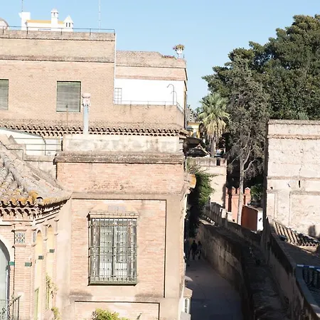 Tourist House Alcazar (adults Only) Apartment Seville