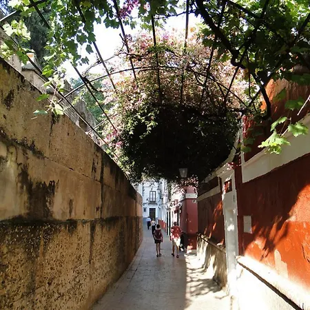 Tourist House Alcazar (adults Only) *